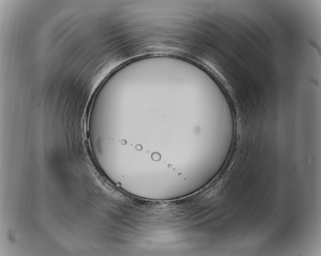 X0000103130891200808221039