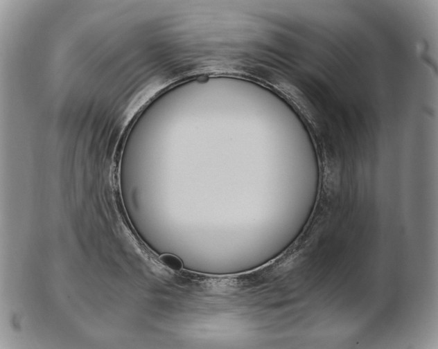 X0000103130893200808221039
