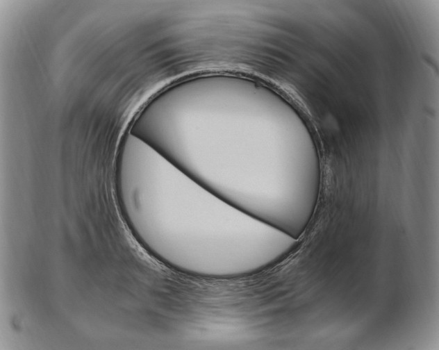 X0000103130895200808221039