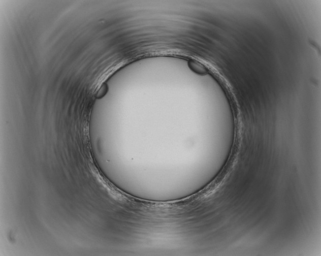 X0000103130897200808221038