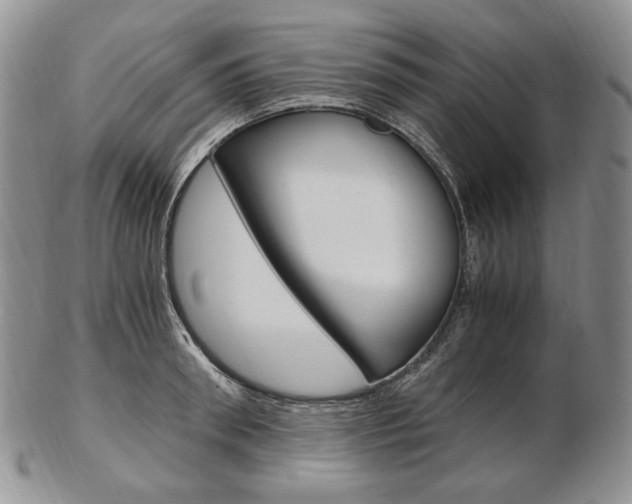 X0000103130898200808221038