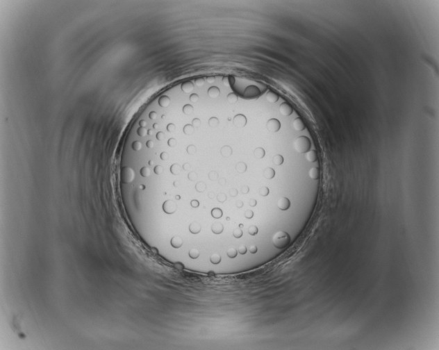 X0000103130899200808221038