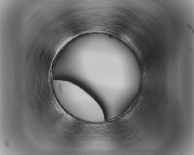 X0000103130900200808221038