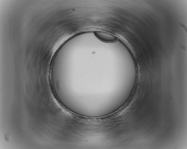 X0000103130901200808221038