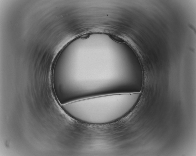 X0000103130902200808221038