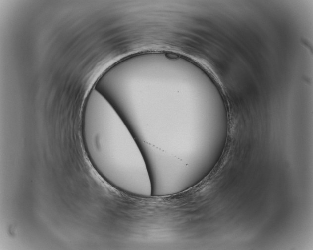 X0000103130903200808221038