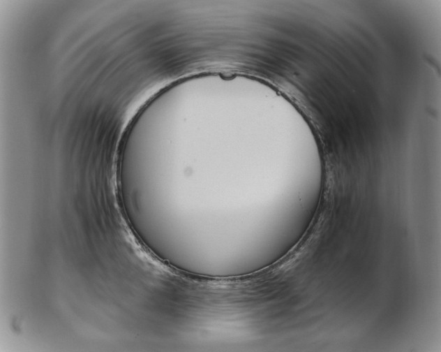 X0000103130904200808221038