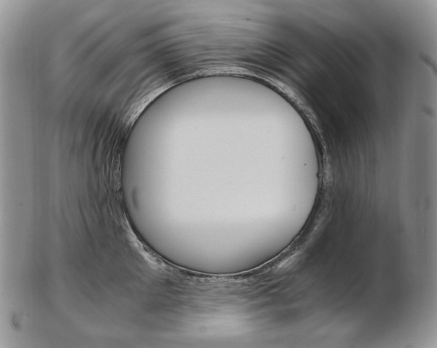 X0000103130905200808221038