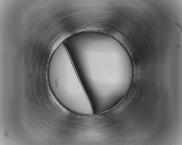 X0000103130906200808221038