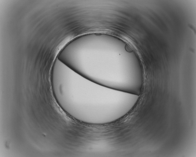 X0000103130907200808221038