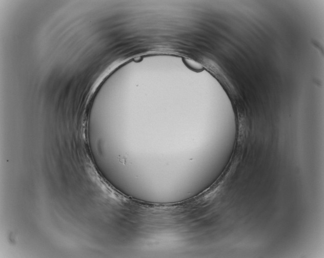 X0000103130908200808221038