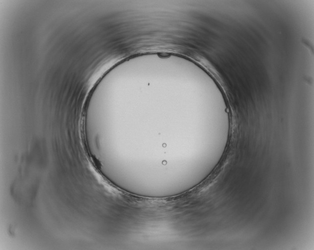 X0000103130909200808221038