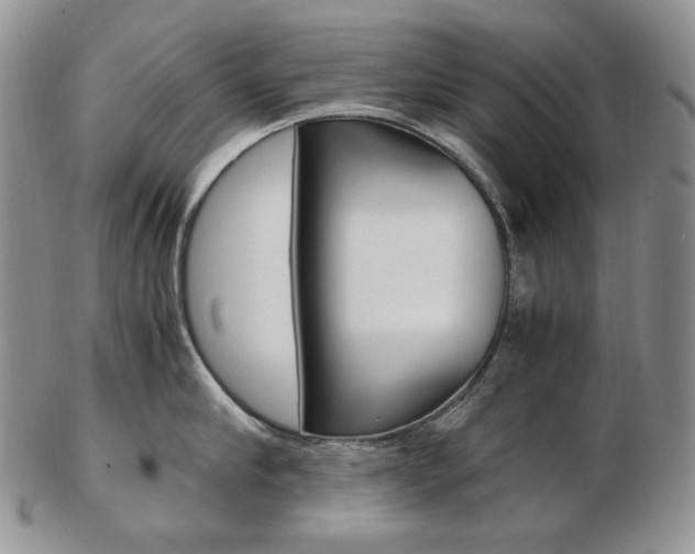 X0000103130910200808221038