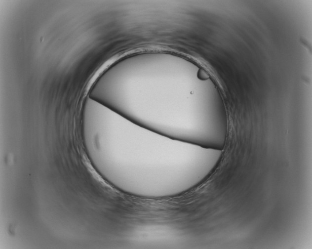 X0000103130911200808221038