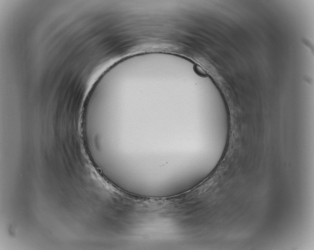 X0000103130912200808221038