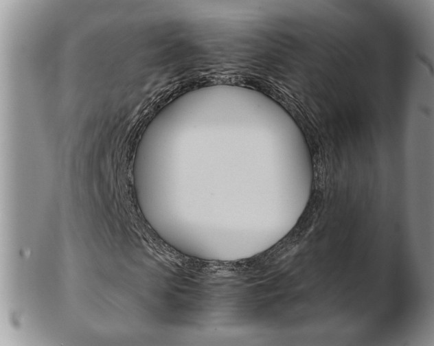 X0000103130913200808221037