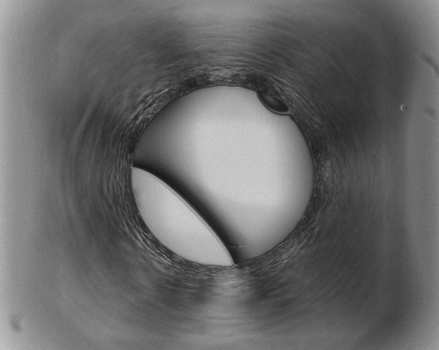 X0000103130914200808221037
