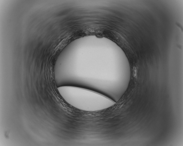 X0000103130915200808221038