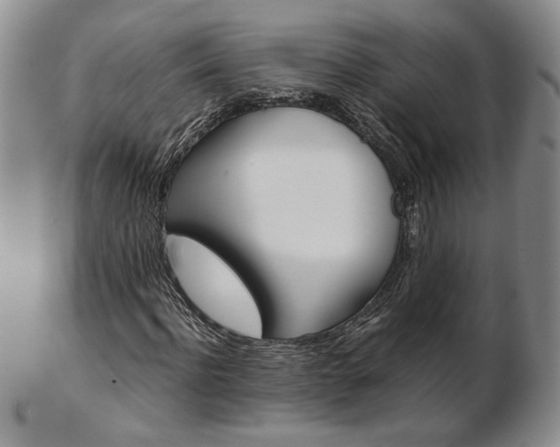 X0000103130916200808221038