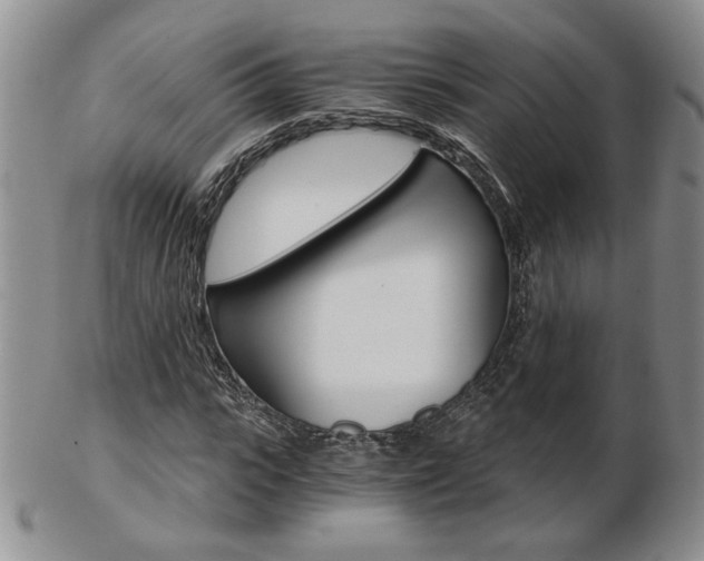 X0000103130919200808221038