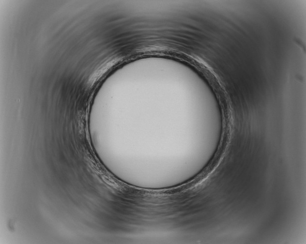 X0000103130921200808221038