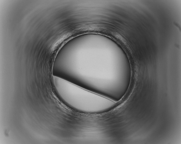X0000103130922200808221038