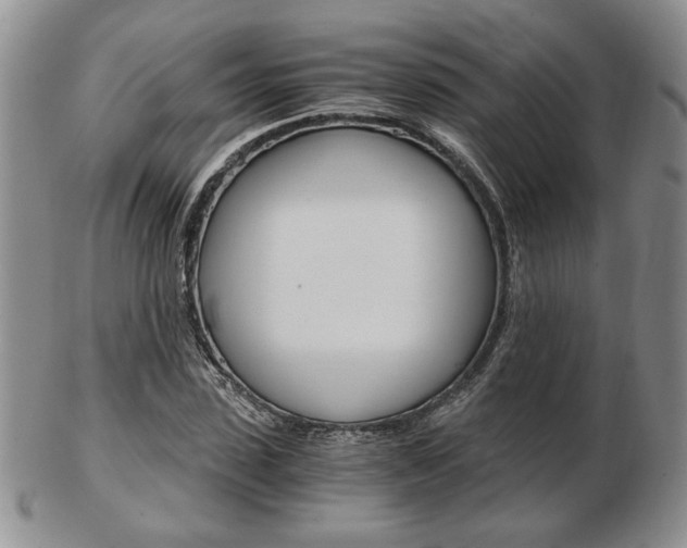 X0000103130923200808221038