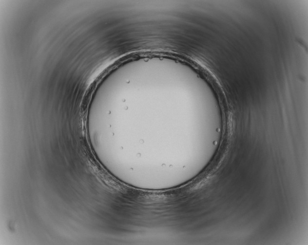 X0000103130925200808221038