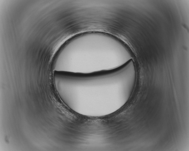 X0000103130926200808221038