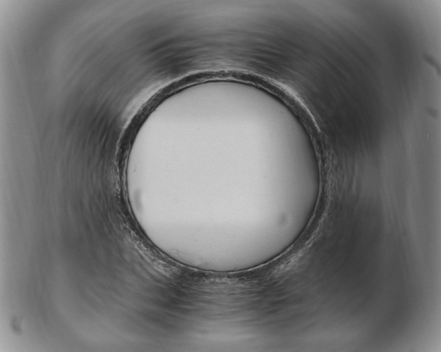 X0000103130927200808221038