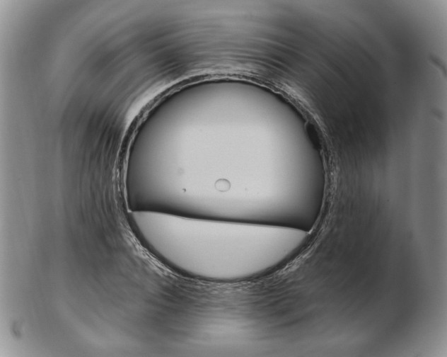 X0000103130928200808221038