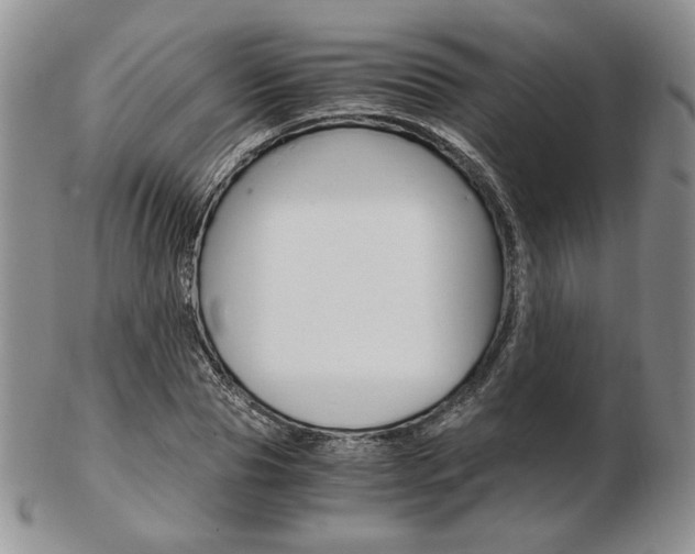 X0000103130929200808221038