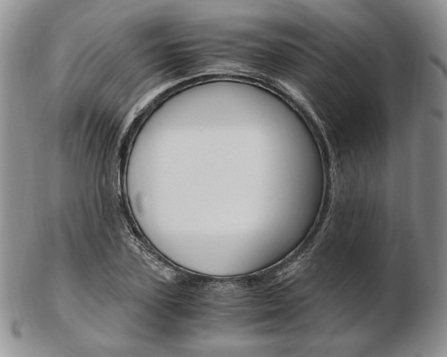 X0000103130931200808221038
