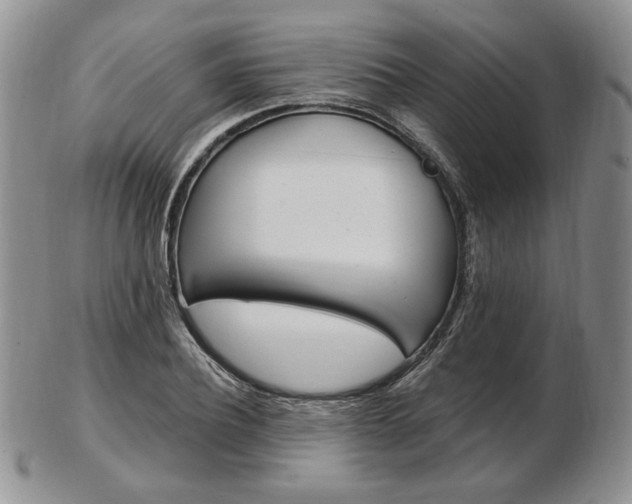 X0000103130932200808221038