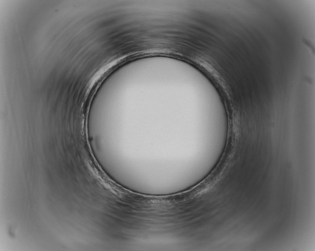 X0000103130933200808221038