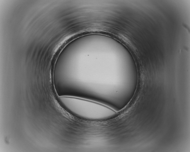 X0000103130934200808221038