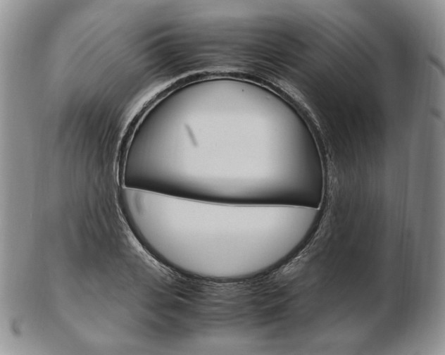 X0000103130935200808221038