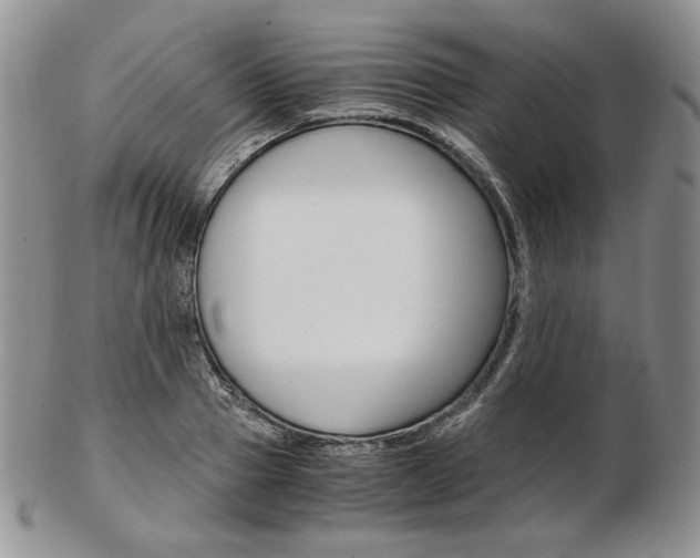 X0000103130937200808221038