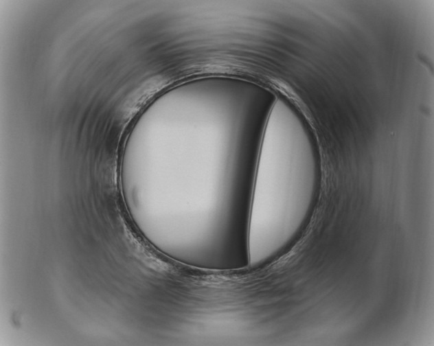 X0000103130938200808221038