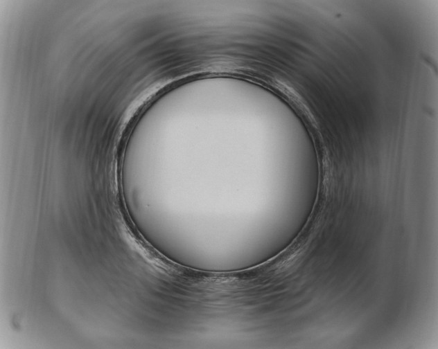 X0000103130939200808221038