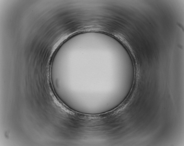 X0000103130941200808221038