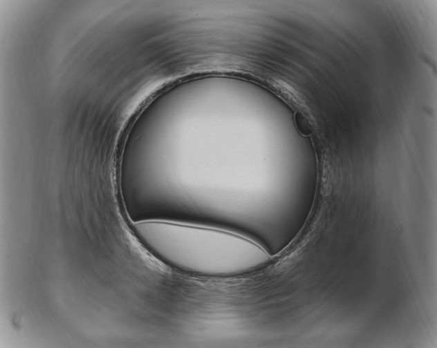 X0000103130942200808221038