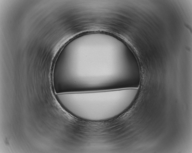 X0000103130943200808221038
