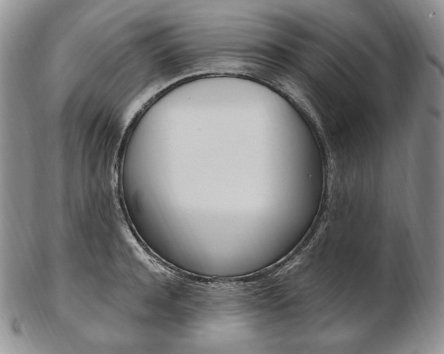 X0000103130944200808221038