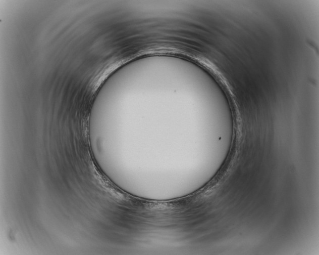 X0000103130945200808221038