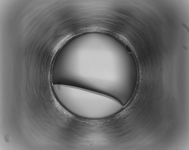X0000103130946200808221038