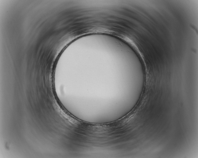 X0000103130947200808221038