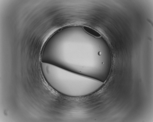 X0000103130948200808221038