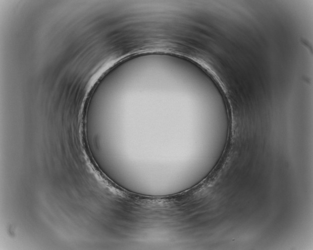 X0000103130949200808221038