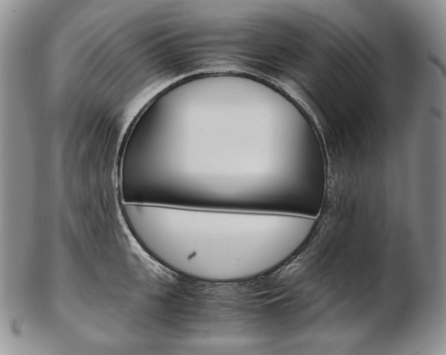 X0000103130951200808221038